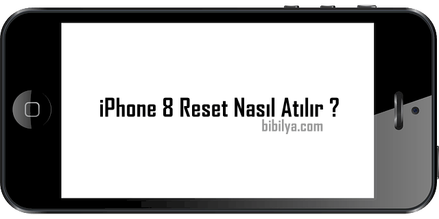 iPhone 8 Reset